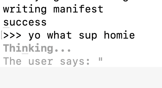 some run open source models at 2000 tok/s, i run one token every 2000 seconds