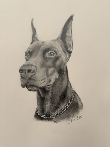 Hi folks, thanks for sending your dog pics for me to draw! I’ve kept a few and here’s the first one! 
I thinks it’s <a href="/sheilaMol1/">sheilaMol</a> ?