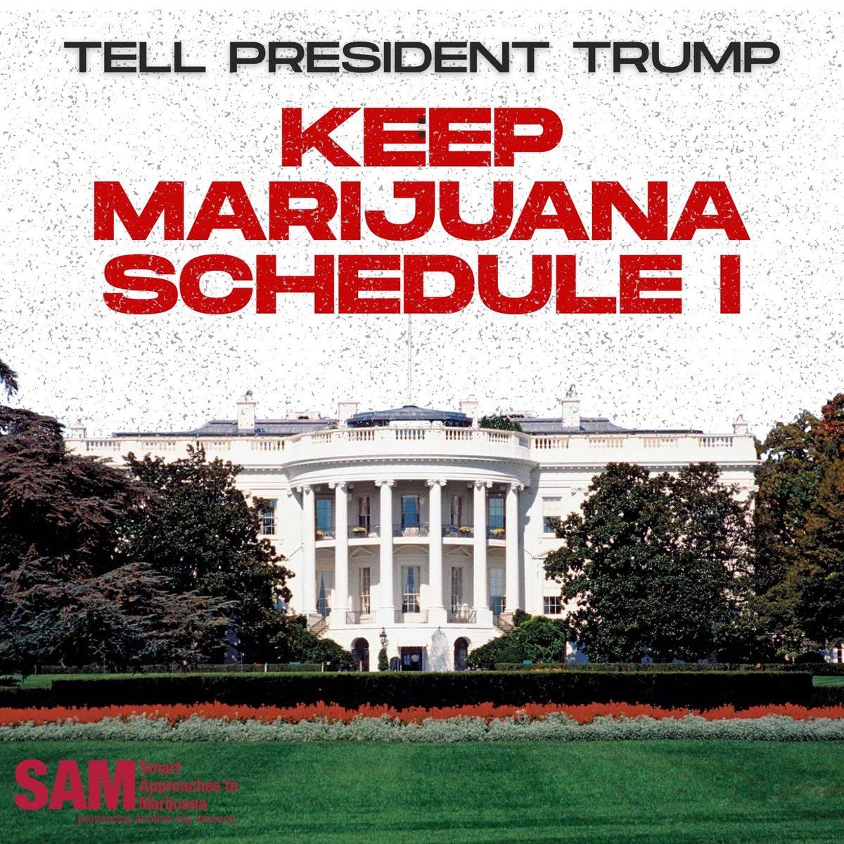 SAM (@learnaboutsam) on Twitter photo Tell <a href="/POTUS/">President Donald J. Trump</a> not to reschedule marijuana. Sign our petition at NoSchedule3.com! Tell <a href="/POTUS/">President Donald J. Trump</a> not to reschedule marijuana. Sign our petition at NoSchedule3.com!