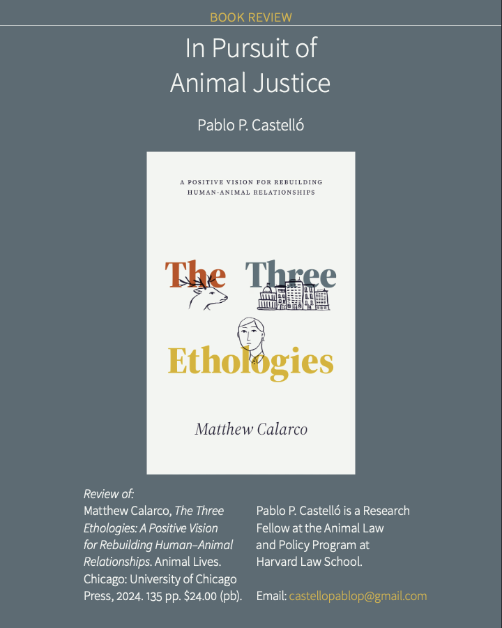 Pablo P. Castelló 🐾 tweet media