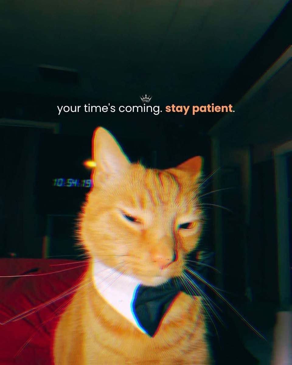 MasonReact's tweet photo. ⏰🐱 https://t.co/C23OQrUu0j