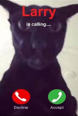 AMADEUS_DEFI's tweet photo. @Sarah_GreenOk Evil $Larry on Sol is calling https://t.co/lCSJZaEta4
