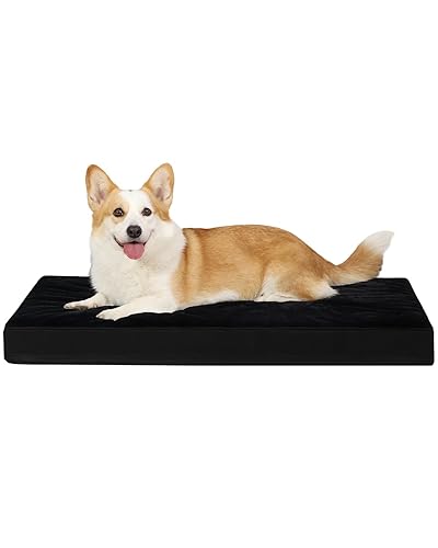 I just received KSIIA Orthopedic Dog Bed Crate Waterproof Pet Mats for Large Dogs Deluxe Plush Washable Pet Bed with Egg Crate Foam &amp; Removable Cover, 35 x 22 Inch, Black - 35x22 (L) - Bl from locoxjoe via Throne. Thank you! throne.com/gabbie_cakess #Wishlist #Throne