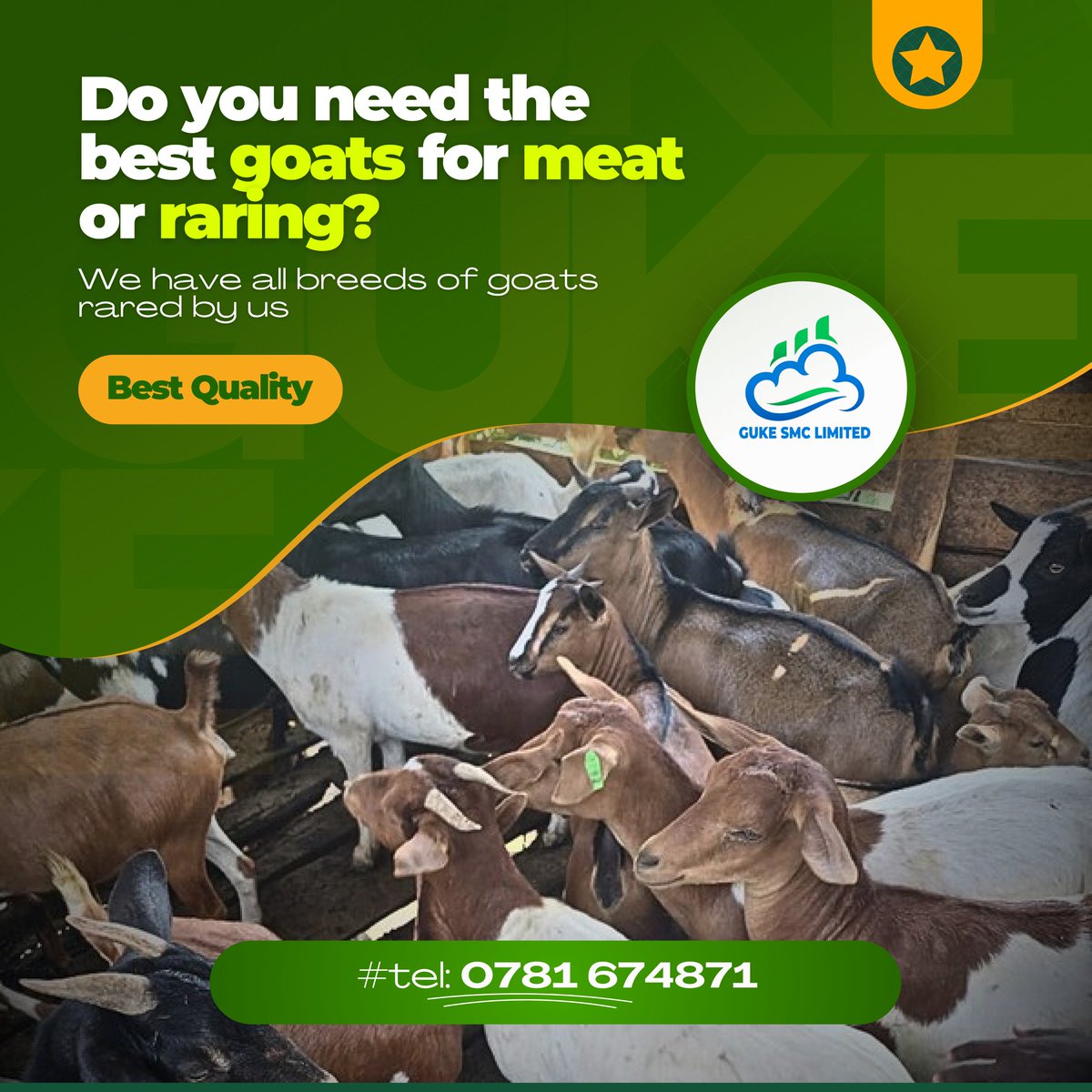 Make that call, we are here to serve you with all you might be looking for on terms of goats 🐐 😉
