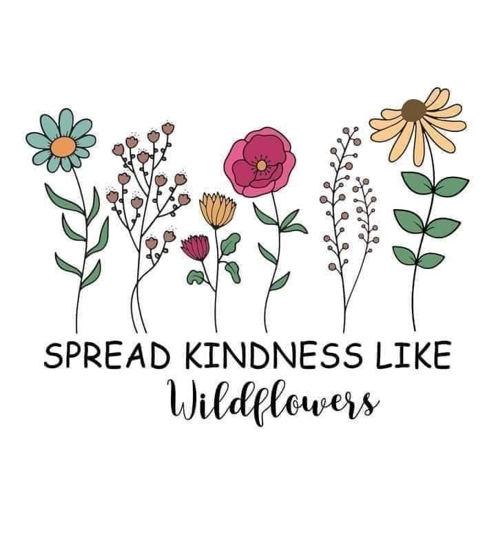 POSITIVITY (@positivitysaid) on Twitter photo 