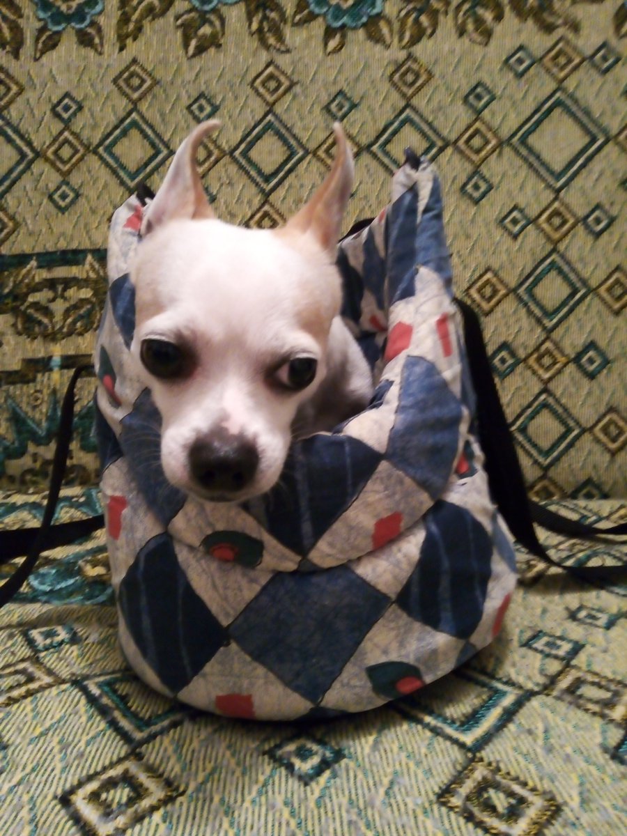 BozoJozsef_49's tweet image. Dear friends, I&apos;m Joseph, a diabetic who lost family &amp;amp; home—except my dog Hazelnut. We live in a country neighboring Ukraine, where every day is a challenge. Please read our story: 
whydonate.com/fundraising/li…
Any support is deeply appreciated.  Thank you! #HelpUs #Give #HopeAndHelp