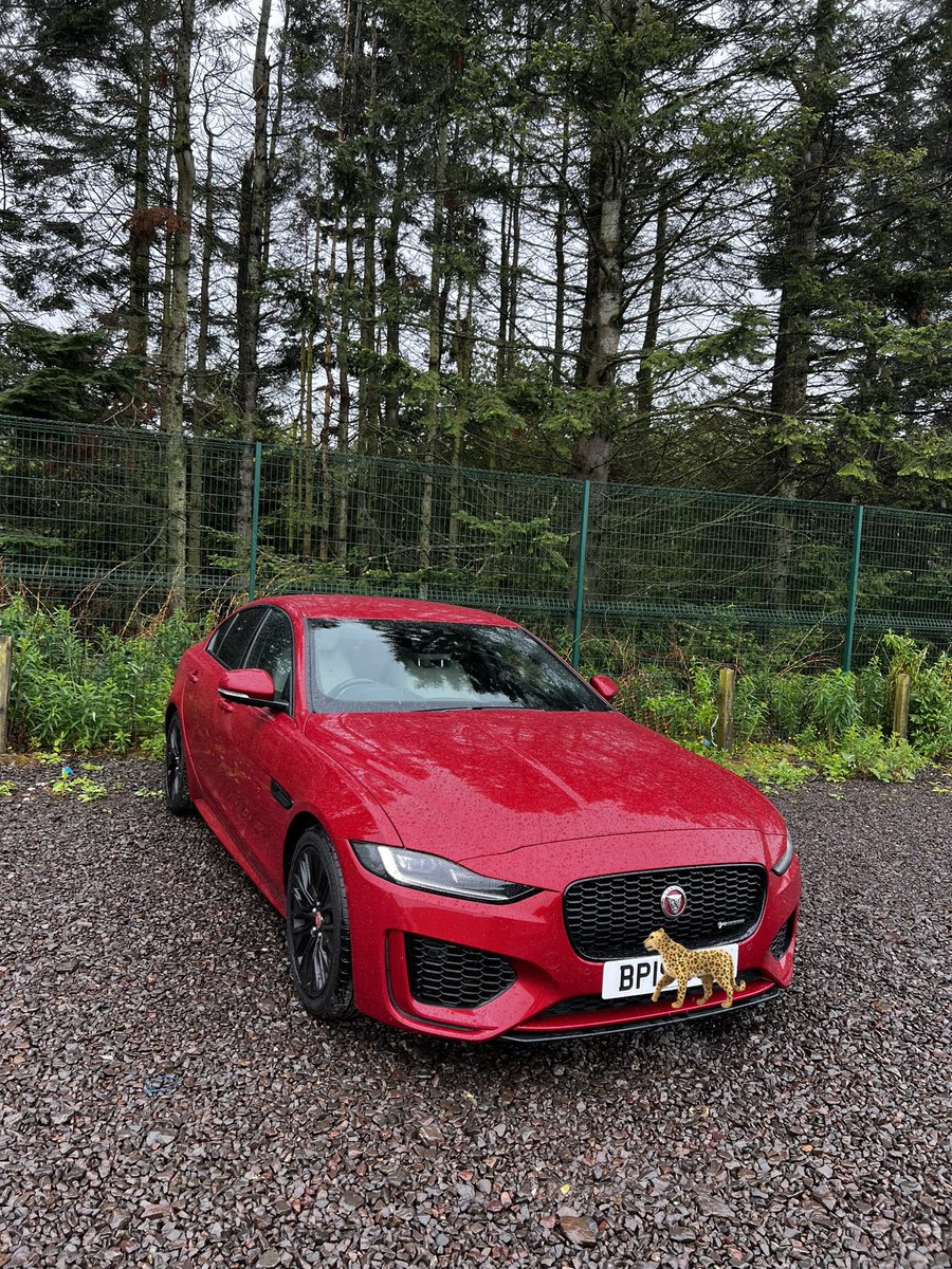 HusAzeez's tweet image. I love being Arab and I love my Jag