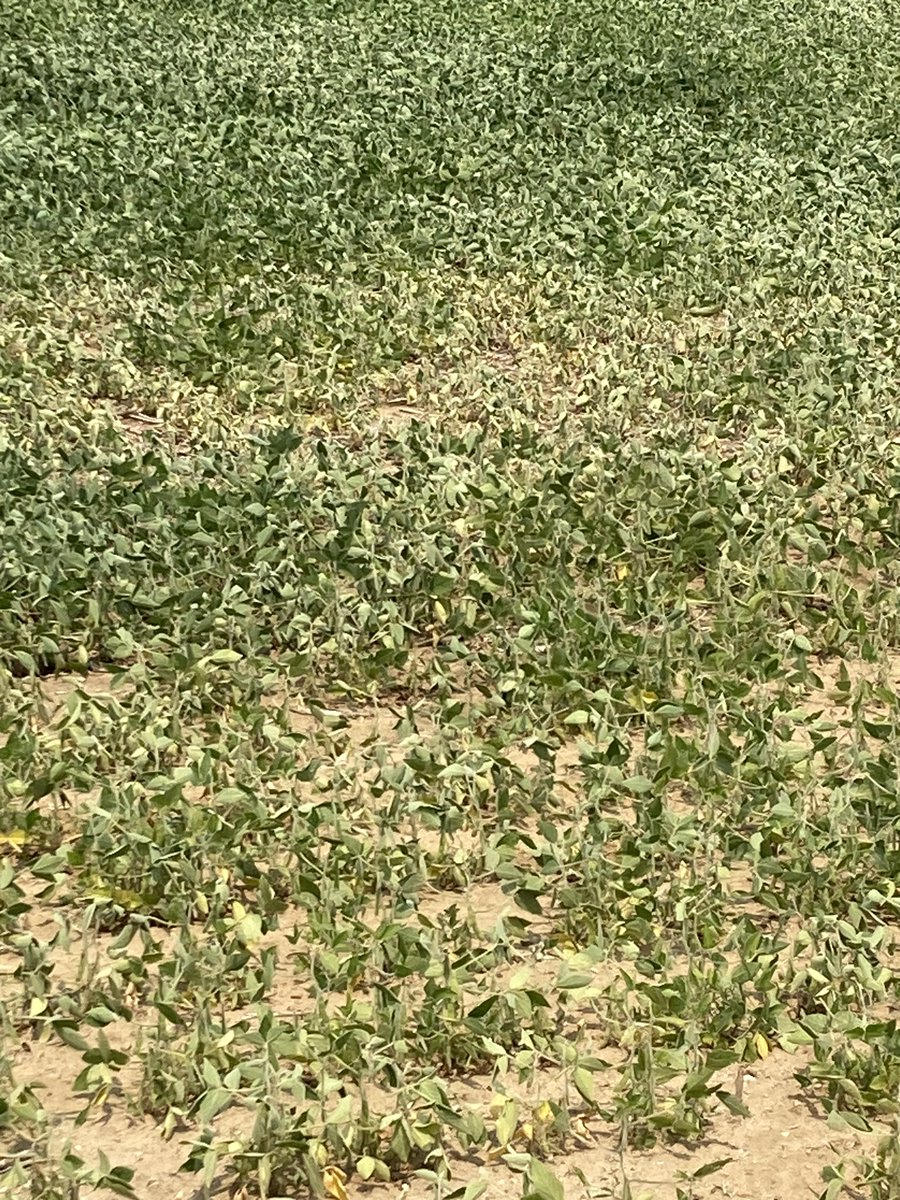 logel_chris's tweet image. So close……yet so far away😔……#drought’25