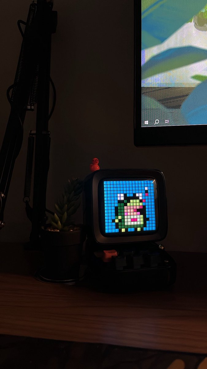 Zoweeis tweet picture