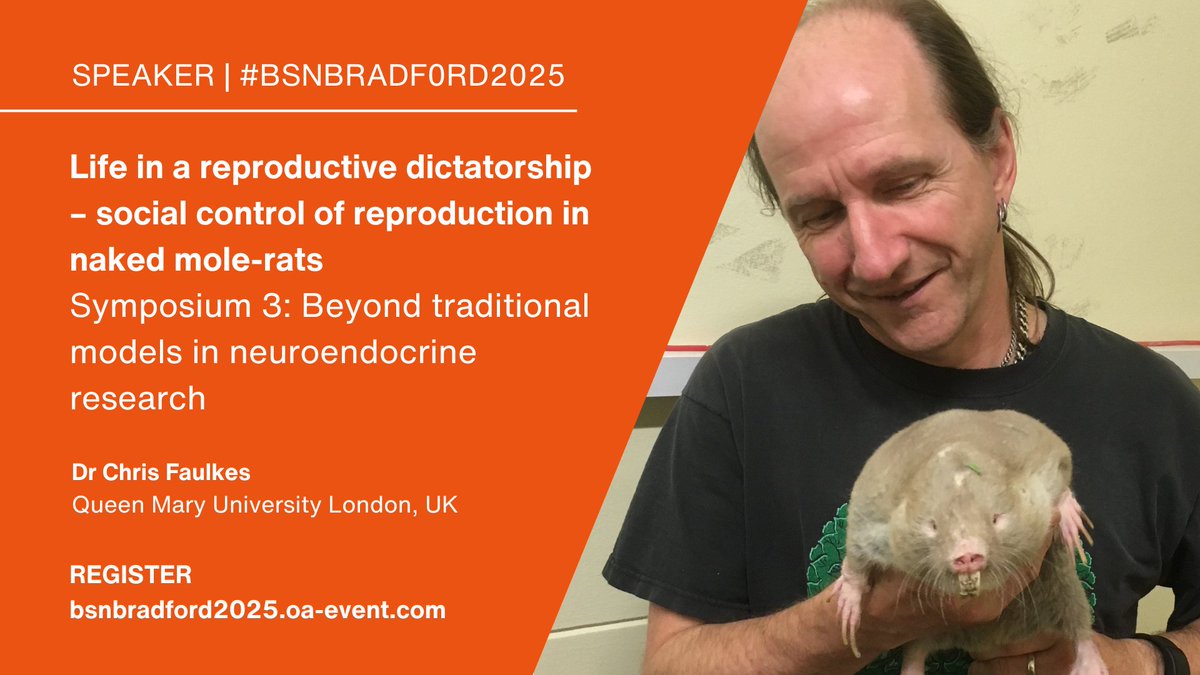BSN (@bsneuroendo) on Twitter photo Join us for Chris Faulkes' <a href="/moleratsarego/">Chris Faulkes</a> presentation on:
Life in a reproductive dictatorship–social control of reproduction in naked mole-rats
in #BSNBradford2025 Symposium 3 Beyond traditional models in neuroendocrine research.
Register by 15 August: bsnbradford2025.oa-event.com Join us for Chris Faulkes' <a href="/moleratsarego/">Chris Faulkes</a> presentation on:
Life in a reproductive dictatorship–social control of reproduction in naked mole-rats
in #BSNBradford2025 Symposium 3 Beyond traditional models in neuroendocrine research.
Register by 15 August: bsnbradford2025.oa-event.com