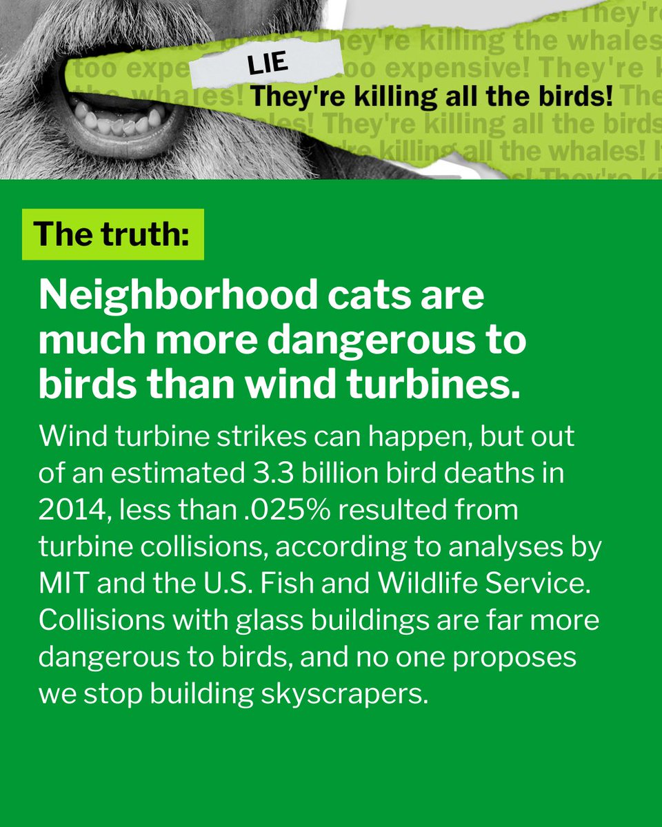 Wind turbines aren’t the biggest threat to birds. The real culprits? Your neighborhood cats, glass buildings and the impacts of climate change.

When misinformation about clean energy solutions crop up, here’s how to push back with facts: vitalsigns.edf.org/story/3-lies-a…