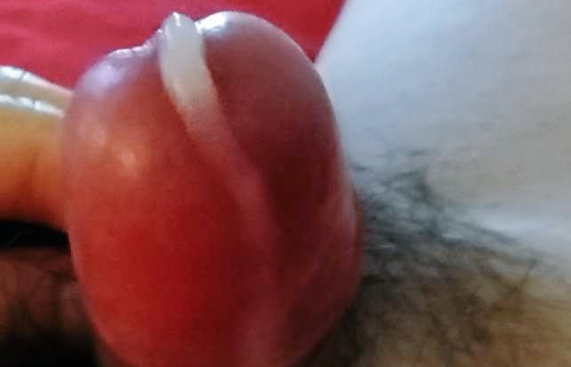 nickylee3 (@cockringmetoo) on Twitter photo 