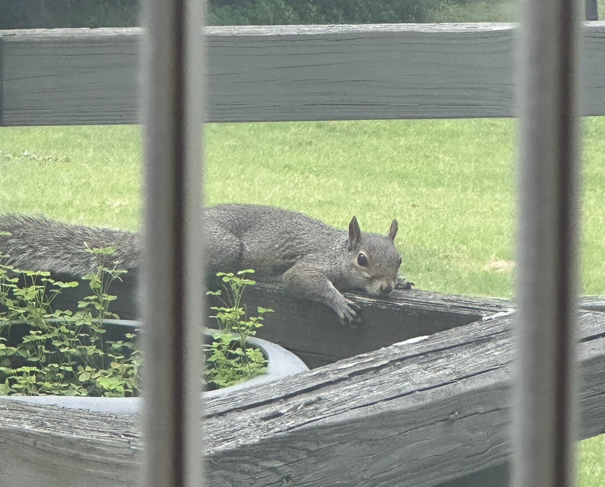 You ever get the feeling that you might be on to something great, that the writing is finally flowing out of you after so long, just to look up and see your greatest critic has also returned with that familiar look of judgment????