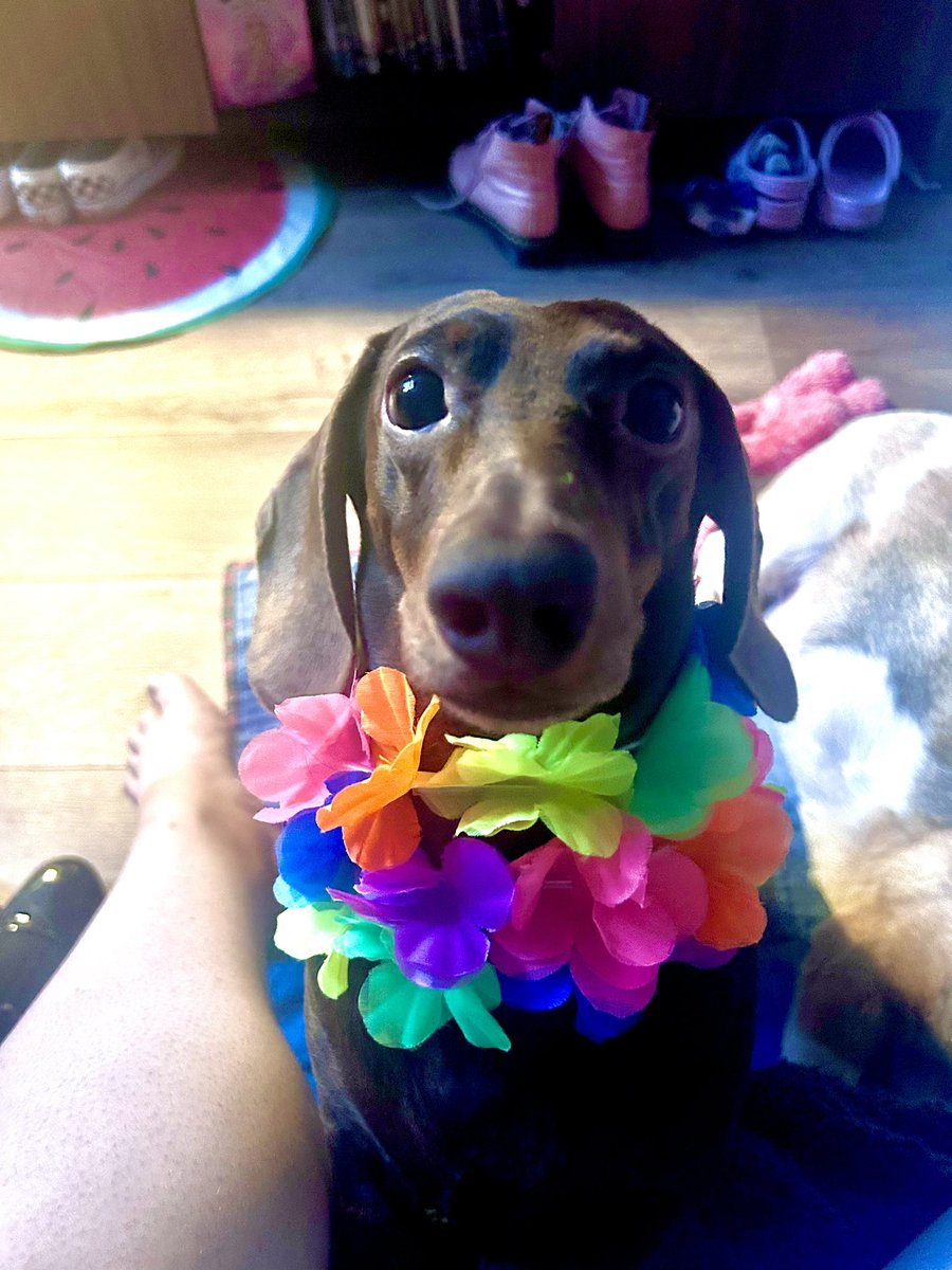 Had a great day, thank you for all of the messages they mean the world to me! 

#happybirthday