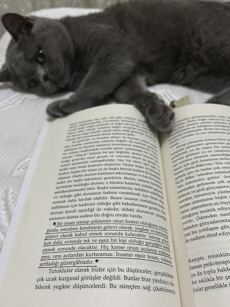 Hazal (@albyrkhazal) on Twitter photo 