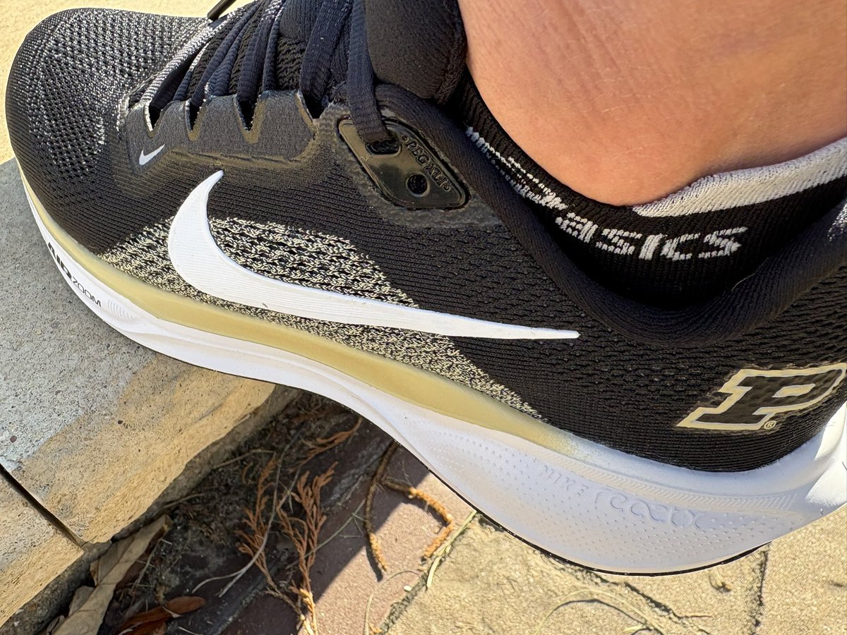 Chad Rodgers tweet media