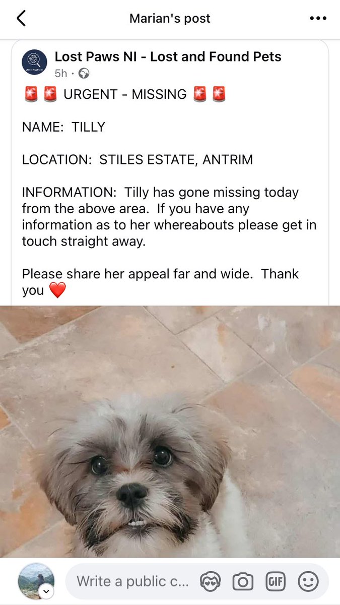 Please share - Missing - Antrim

facebook.com/share/p/1CHiZJ…