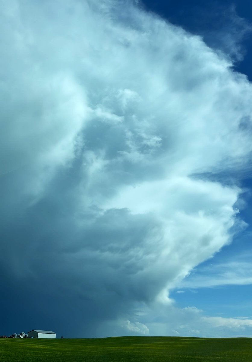 Tidbits_from_T's tweet image. Looking southeast from Dogpound.  #abstorm