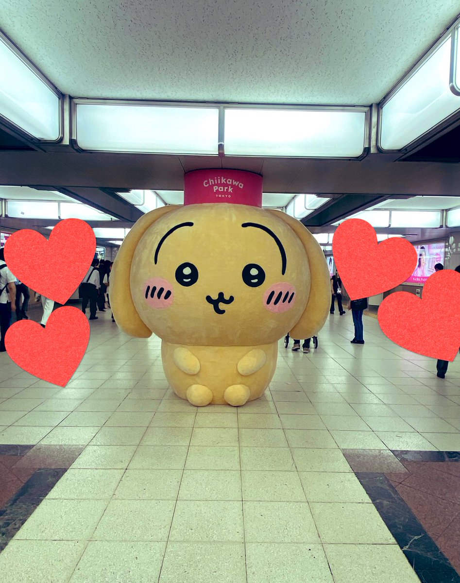 推しのプルャ(うさぎ🐰)ちゃんに関しては、横と後ろ姿もしっかり観察の上、お耳とモフモフのしっぽを触ってきましたw
「ｳﾗﾗﾗﾗｧ!!ﾌﾟﾙｬ!!🐰(お仕事!!お疲れ!!)」って言ってくれてるような気がした😊

#プルャ
#うさぎ
#しっぽモフモフ
#垂れ耳Ver