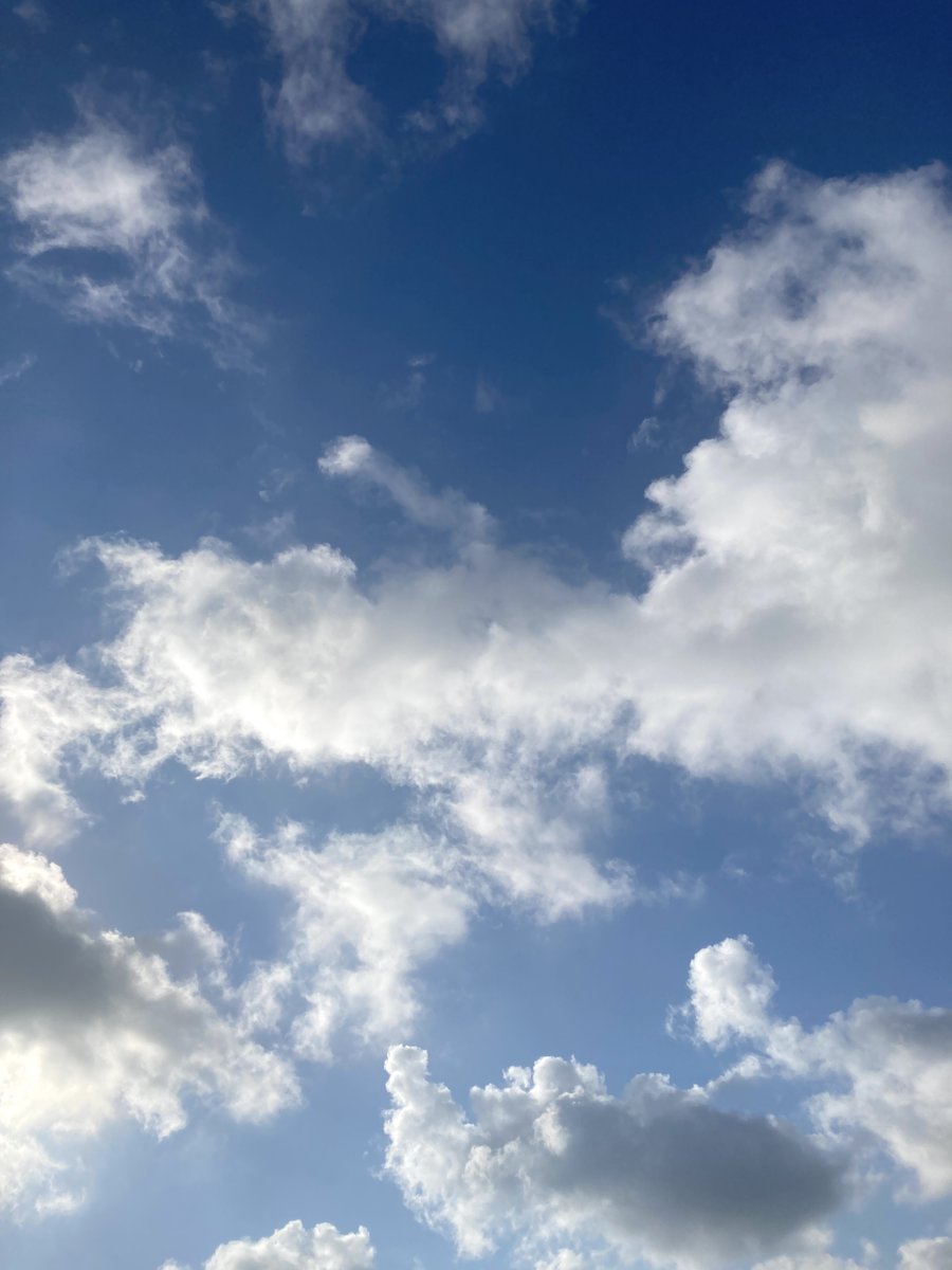 おはよう
平和な朝が続きますように