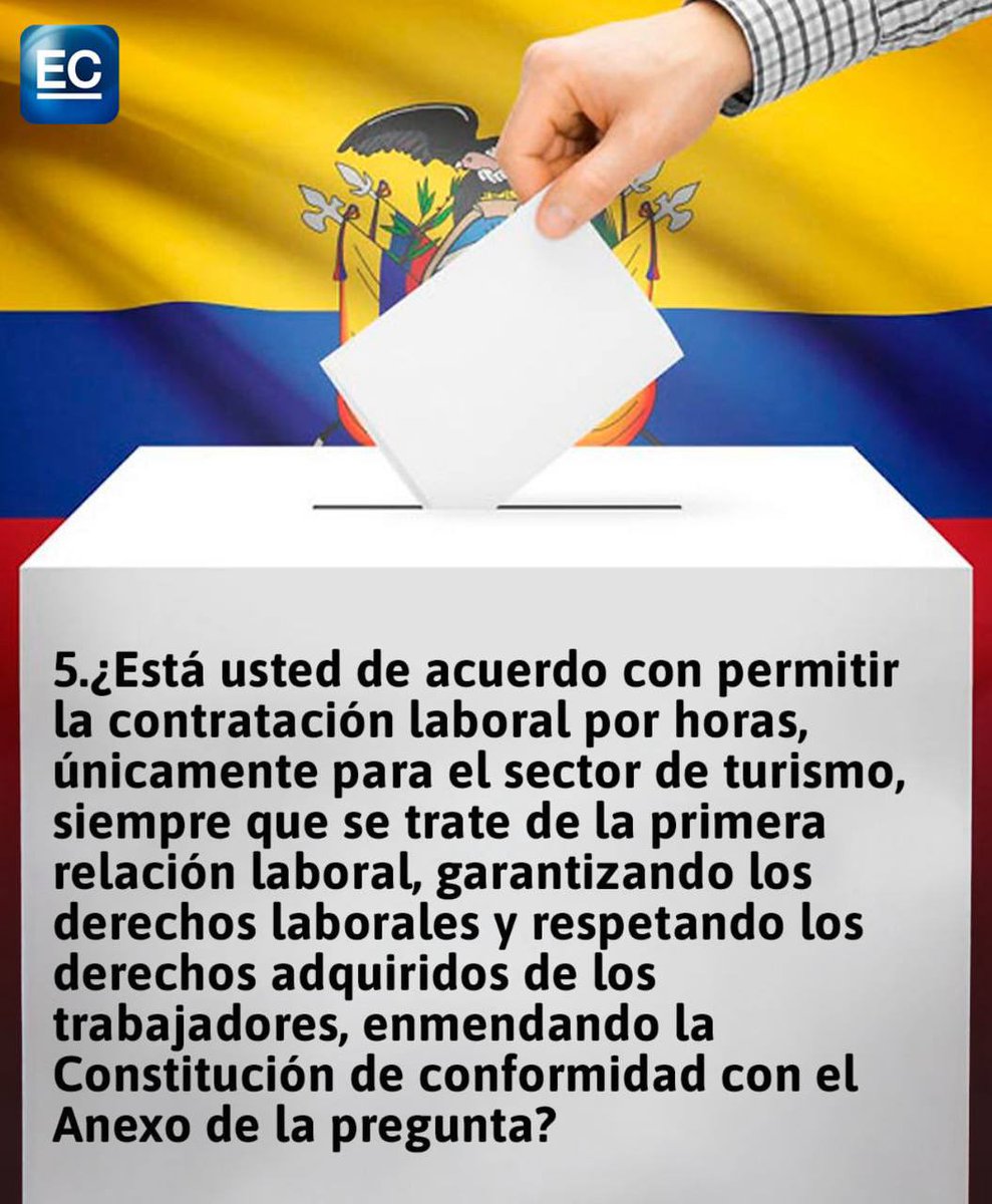 Mónica Palacios tweet media