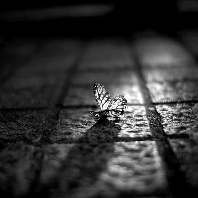 Geçti hevesin ışığı bi tutam nefesle
Adım adım sürümekmiş kavuşmak.
Adanacak bir şey kalmıştı içimde,
Sen hiç ayrılığa sarıldın mı acını yutkunarak..