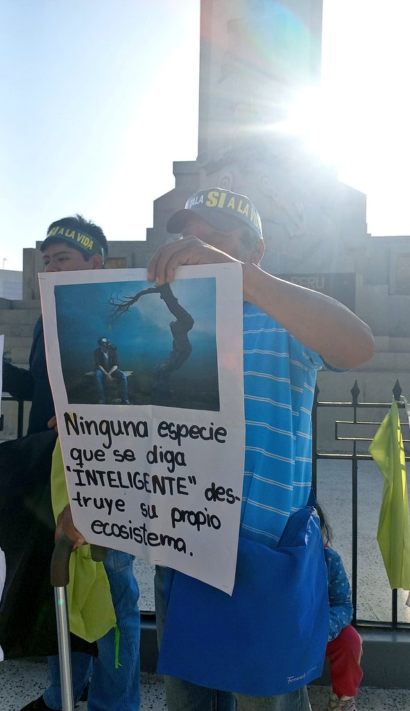 Se llevó a cabo el Plantón al que asistimos ciudadanos organizados, colectivos ambientalistas contra la tala indiscriminada de 600 árboles, entre ellos más de 200 #algarrobos adultos en la obra de mejoramiento de Av. Don Bosco #Piura.  #ConstruirSinDestruir #NoALaTala