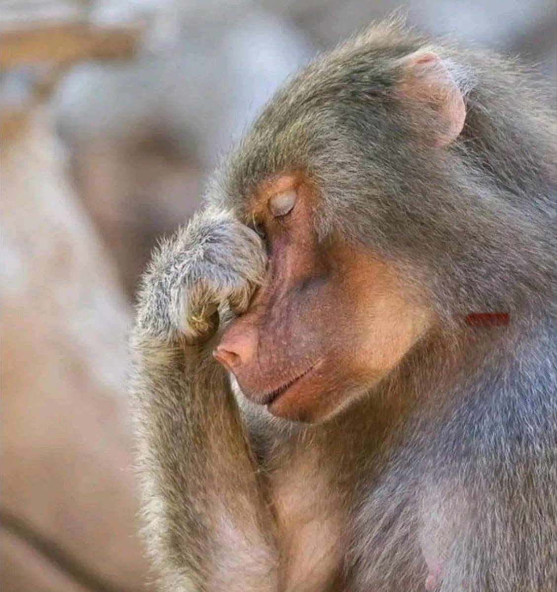Weeh Magwaza 🙆🏾‍♂️🤦🏾‍♂️ #IthongaMzansi