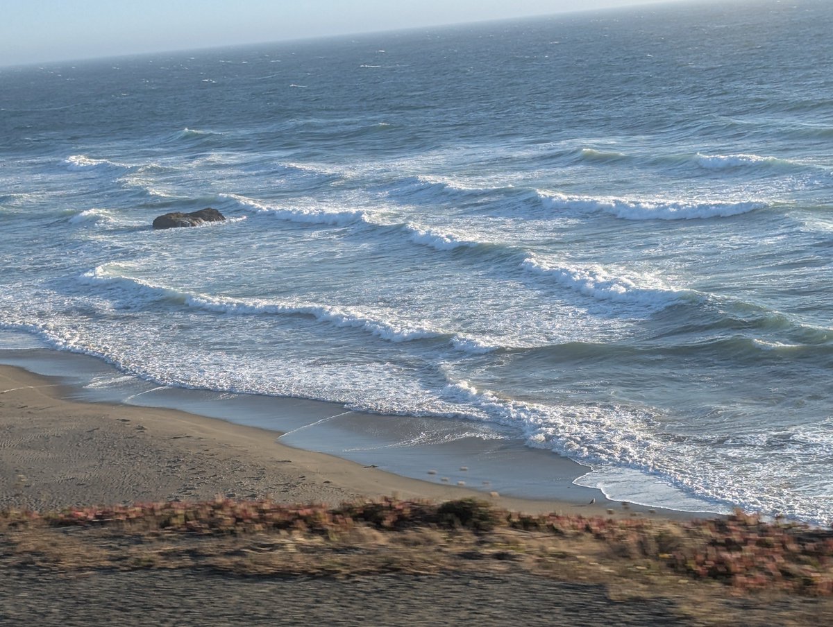 BabyBoomerSaves's tweet image. Good morning! Ocean waves bring me a sense of peace. #BodegaBay #HouseSit