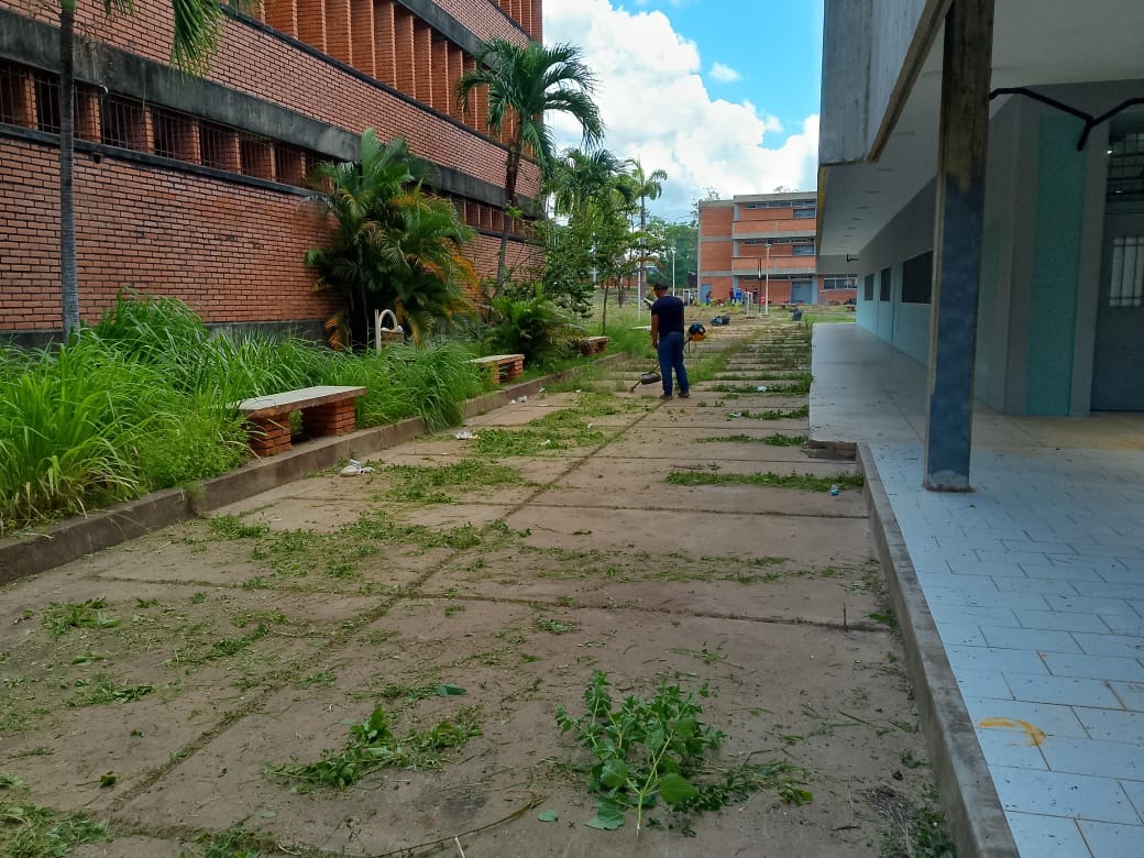 🟣Qué Pasa en Venezuela (@qpev_) on Twitter photo #PulsoRegional Jornada “Manos a la UDO” llevó embellecimiento al campus Los Guaritos en Maturín quepasaenvenezuela.org/?p=664494 Vía: <a href="/JeffCivira/">Jefferson Civira</a> #PulsoRegional Jornada “Manos a la UDO” llevó embellecimiento al campus Los Guaritos en Maturín quepasaenvenezuela.org/?p=664494 Vía: <a href="/JeffCivira/">Jefferson Civira</a>
