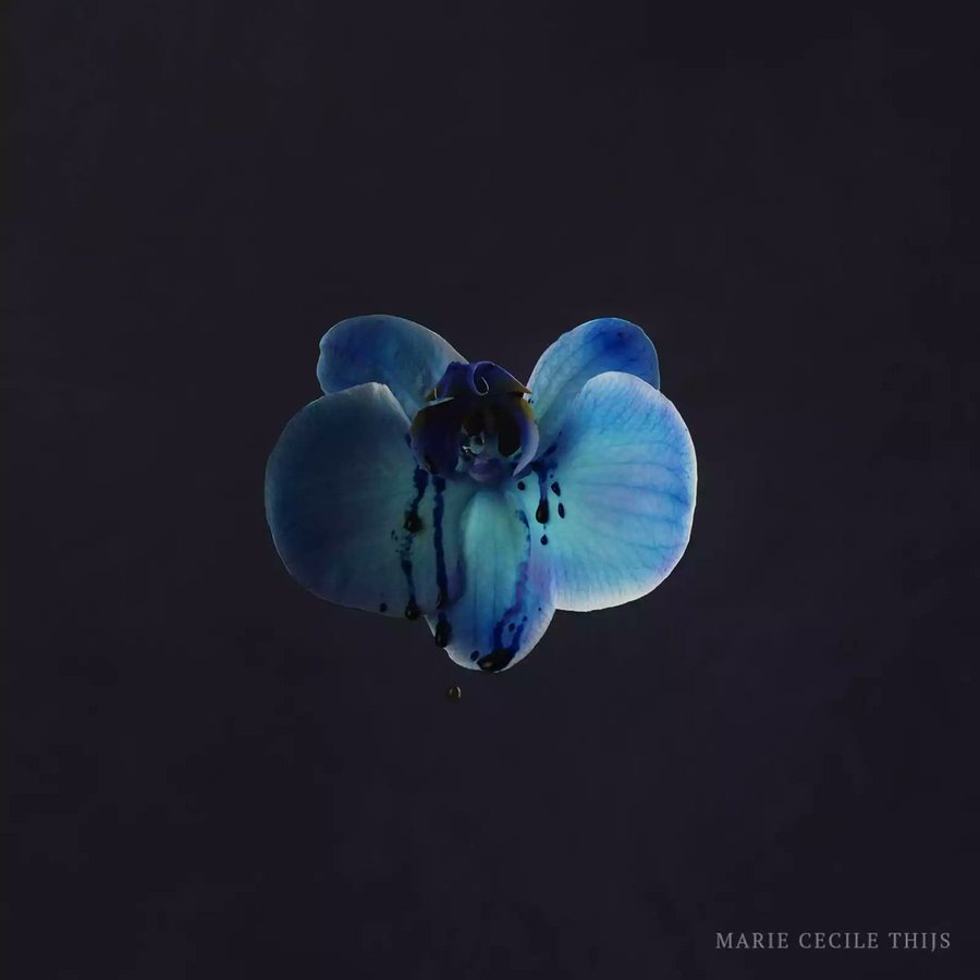 Blue Orchid, 2021 • 
Marie Cecile Thijs •