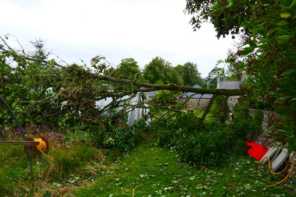 The big clear up of the garden started today, very tired and emotional but grateful house and humans are intact #StormFloris