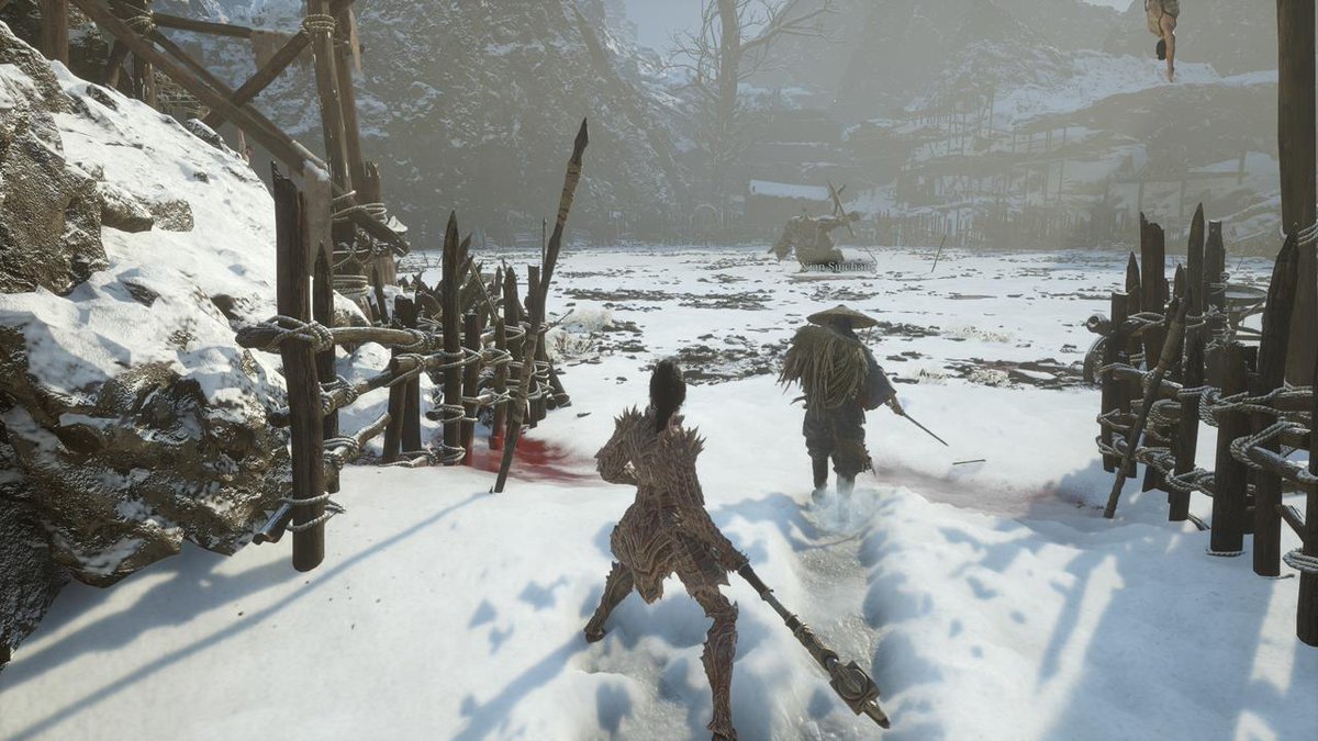 Not every battle in Shu must be fought alone.

Certain NPCs can stand by your side in boss fights, if you've earned their trust.

Complete their quests, and they might show up when you need them most.