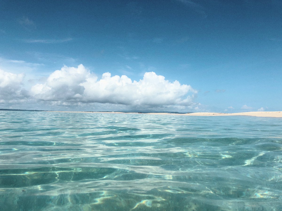 Juan Girsang (@deopus) on Twitter photo "Sunny Day'
A beautiful sunny day in Raja Ampat, Southwest Papua-Indonesia.
my submission for #summertez event by <a href="/LMTGT_/">LMTGT - Let's make Tezos great together!</a>
objkt.com/tokens/KT1Q3sR… "Sunny Day'
A beautiful sunny day in Raja Ampat, Southwest Papua-Indonesia.
my submission for #summertez event by <a href="/LMTGT_/">LMTGT - Let's make Tezos great together!</a>
objkt.com/tokens/KT1Q3sR…