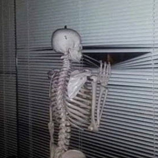 تَرتِـيلاا الغاضبة. 😡🐢 (@_hopeless_case_) on Twitter photo 