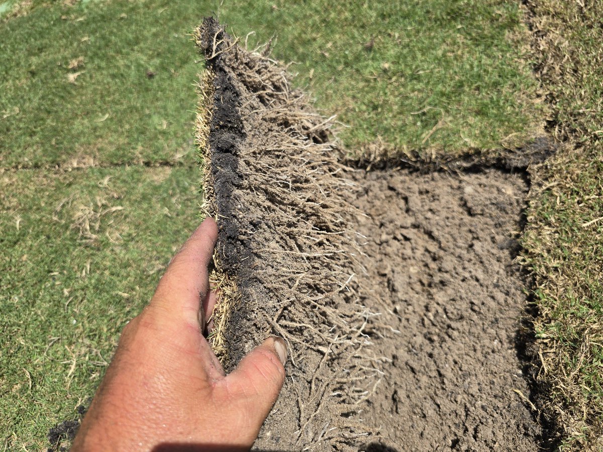 George Farmer tweet media