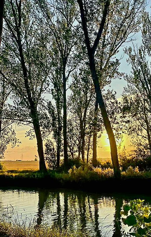 Atardecer.  Buenas  noches 💫