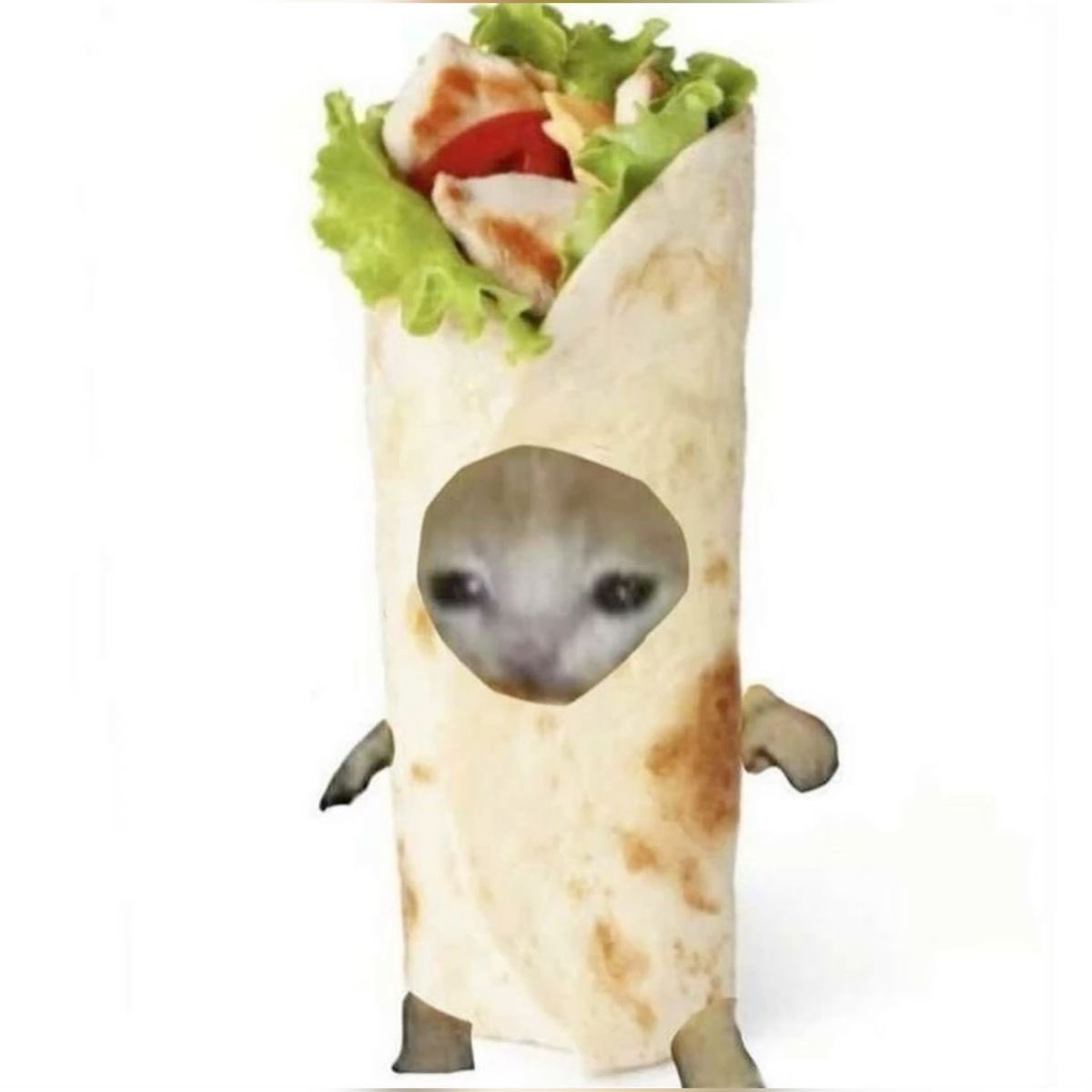 RealCatCouncil's tweet photo. ☢️NEW DEAL🚨
FREE KEBABS TO ANY EURONYMOUS THAT WALKS THROUGH THE DOOR https://t.co/16kudHKLHs
