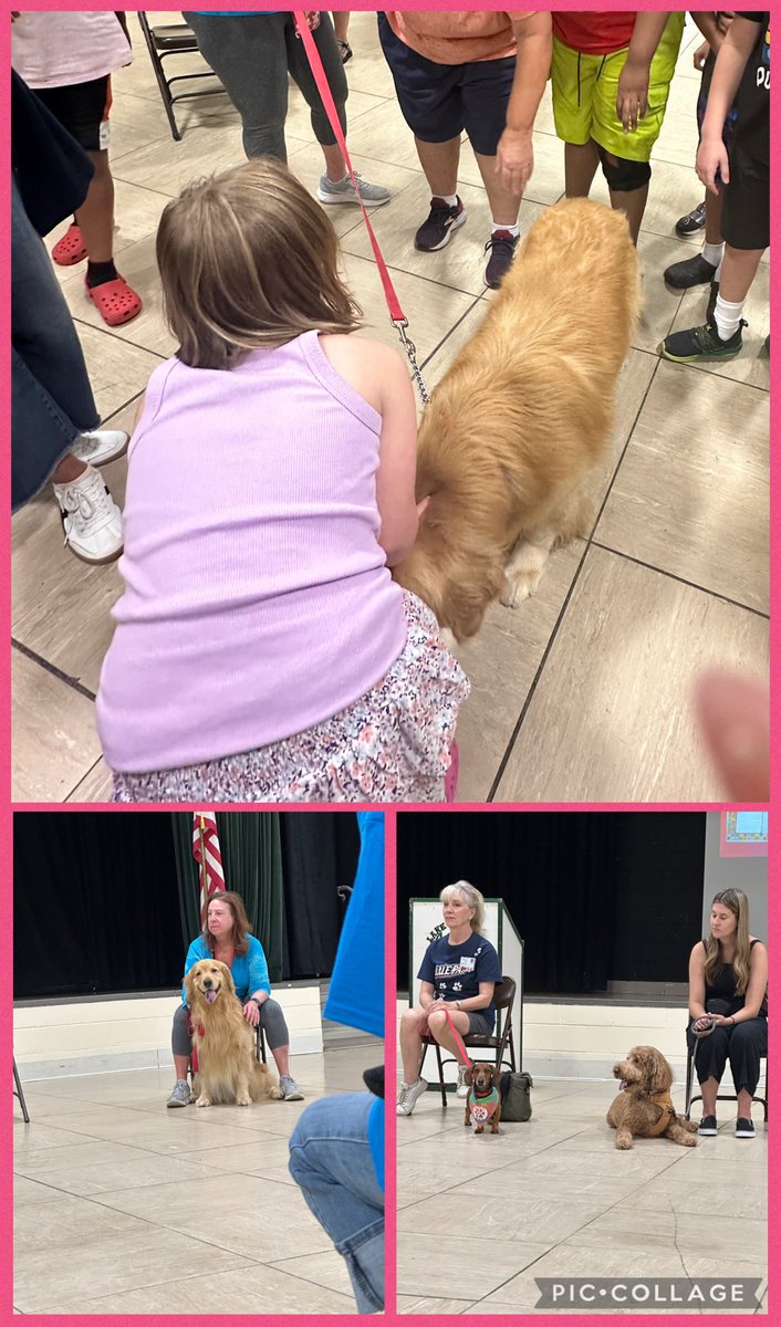 BTPSSpecialSrvcs (@btpssrvcs) on Twitter photo !ESY 2025! Therapy dogs are more than just companions, they help teach Ss about responsibility & care. Thank you to Ms. Parker, <a href="/Brick_K12/">Brick Township Public Schools</a> OT, for arranging our annual visit w The Bright & Beautiful Therapy Dogs! 🐕💚 🐾 <a href="/BTPSLearns/">BTPSLearns</a> <a href="/LMESColts/">LMESColts</a> !ESY 2025! Therapy dogs are more than just companions, they help teach Ss about responsibility & care. Thank you to Ms. Parker, <a href="/Brick_K12/">Brick Township Public Schools</a> OT, for arranging our annual visit w The Bright & Beautiful Therapy Dogs! 🐕💚 🐾 <a href="/BTPSLearns/">BTPSLearns</a> <a href="/LMESColts/">LMESColts</a>