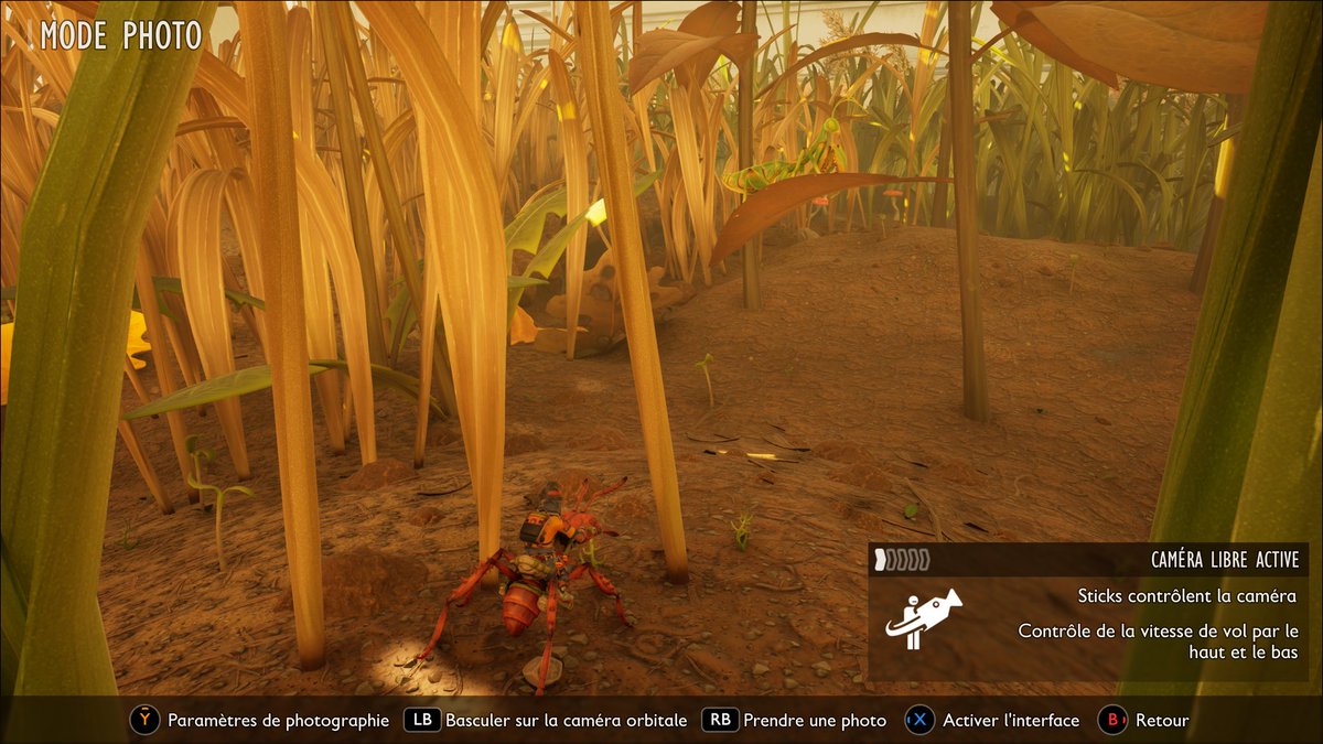 #grounded2. Où est Charlie ?