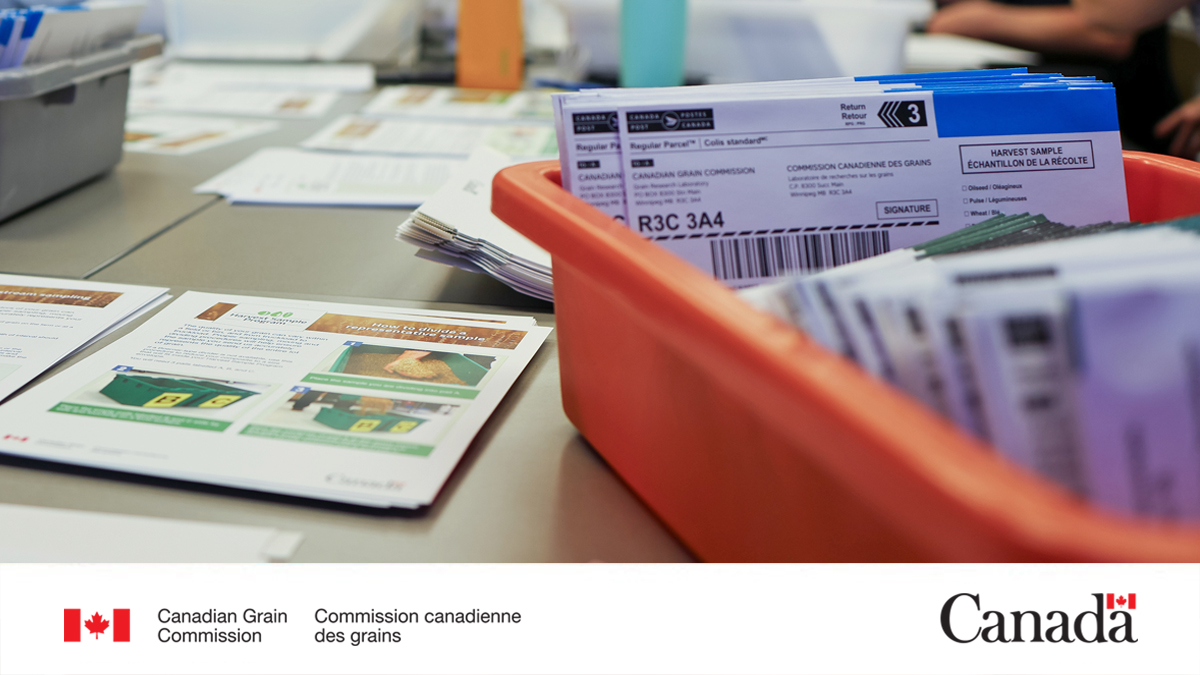 Are you a producer who signed up for the Harvest Sample Program? Remember to send us your samples once you’re finished harvest.
Your samples help us evaluate grain grades and support research! Learn more: ow.ly/Ws0L50WyRfA