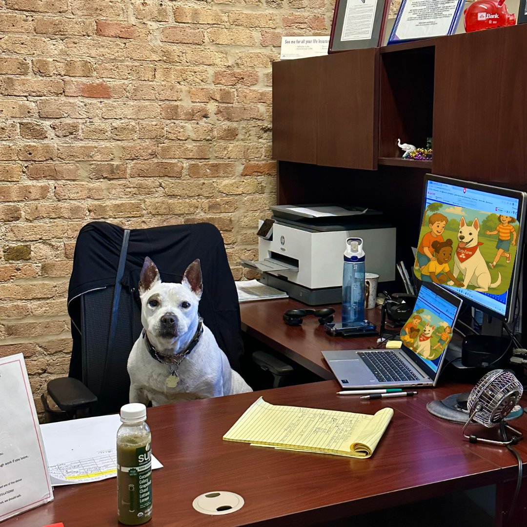 AngelaRoudezsf's tweet image. Happy Blogger Day! 📝🐾 Here’s a behind-the-scenes look at our blogging adventures—with a little help from Nala, our beloved office dog! #Bloggerday #dogs #Statefarm #Helpingpaws
st8.fm/3C7QSpb