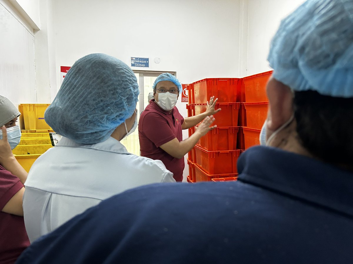 En nuestros mercados está pasando algo grande 🙌. Gracias al alcalde <a href="/aquilesalvarez/">Aquiles Alvarez Henriques</a> y a la alianza con la Fundación <a href="/BcoAlimentosGye/">Banco de Alimentos DIAKONIA</a>, el programa Fruver ya está ayudando a 38 mil personas entre familias vulnerables, hogares de niños y nuestros abuelitos. ❤️

El piloto en el TTV