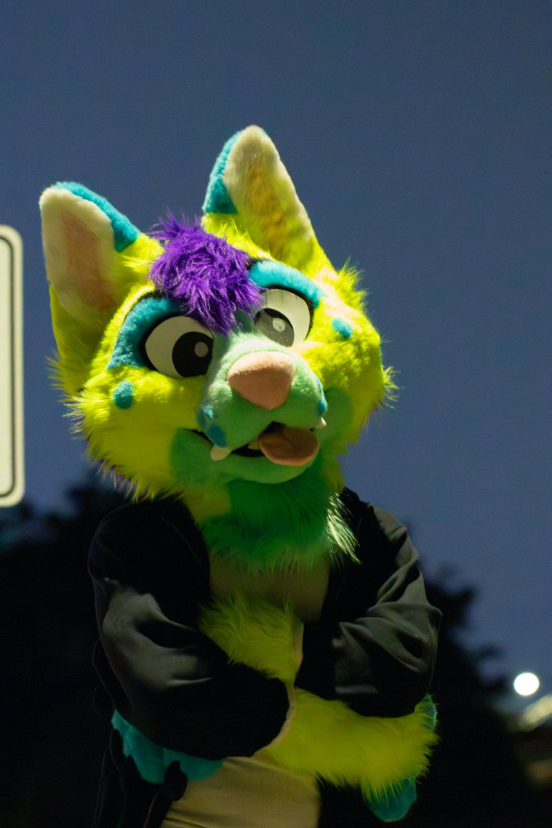 if not dog then why dog shaped?

📷: my brother
✂️: in bio

#fursuit #fursuits #furry #furries #furryfandom #furrycommunity #fursuiter #fursuiting