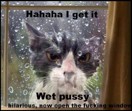 They don’t like to get wet…