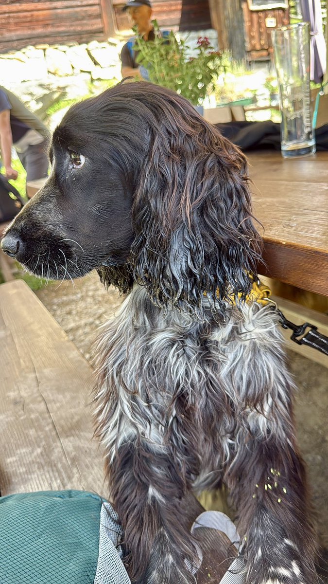 Rifugio, birretta e sei in pole position.