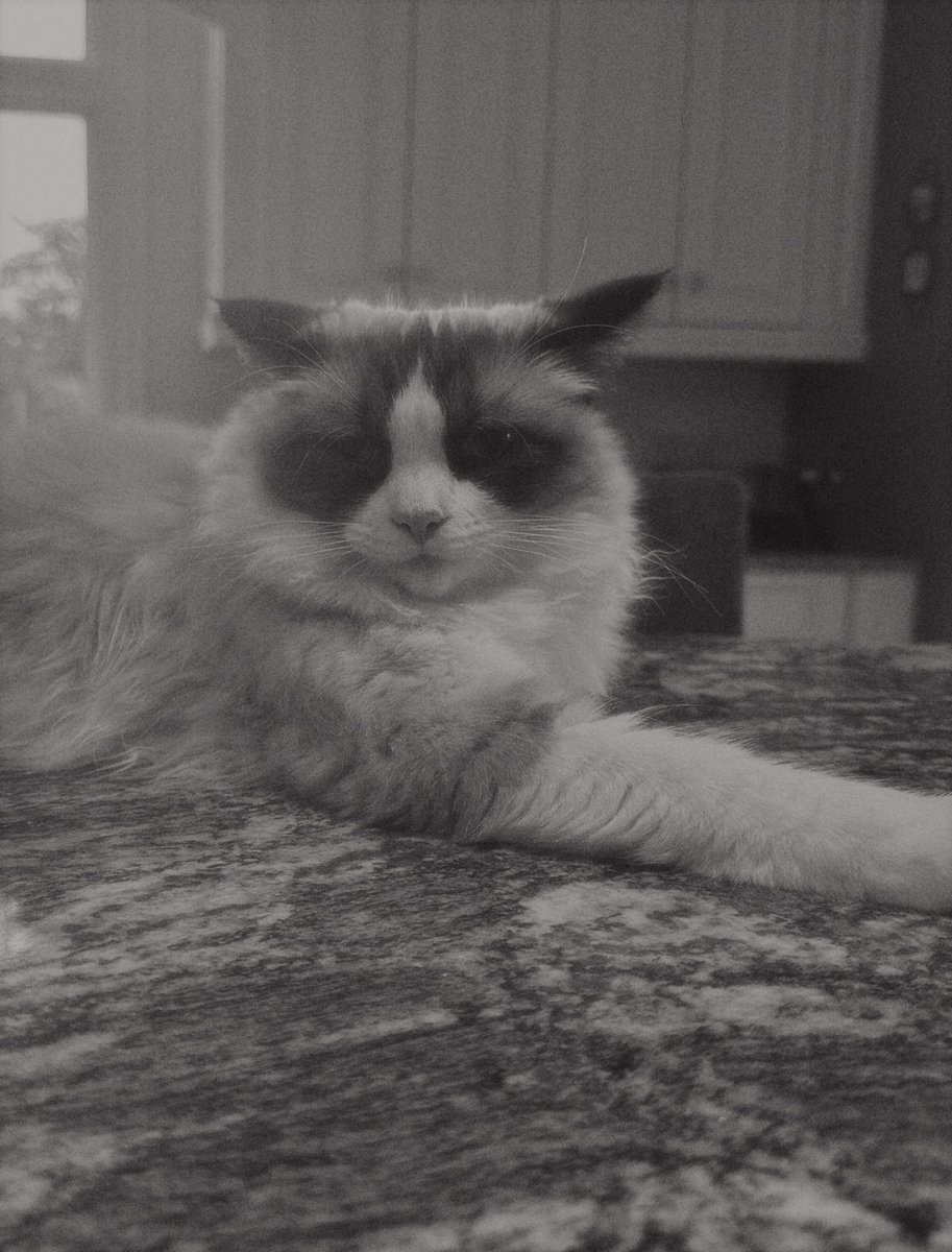 How your email finds me