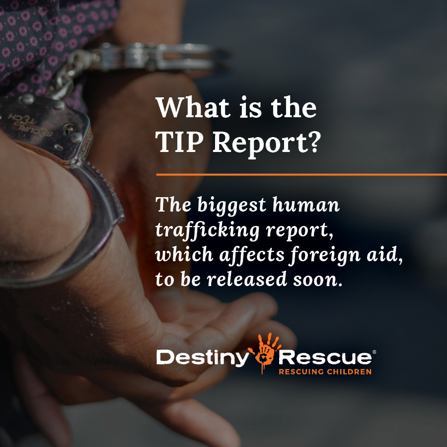 Destiny Rescue tweet media