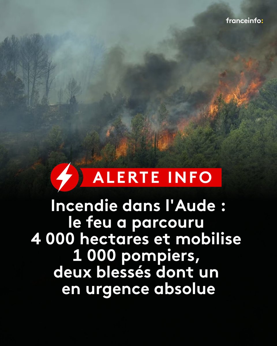 franceinfo tweet media