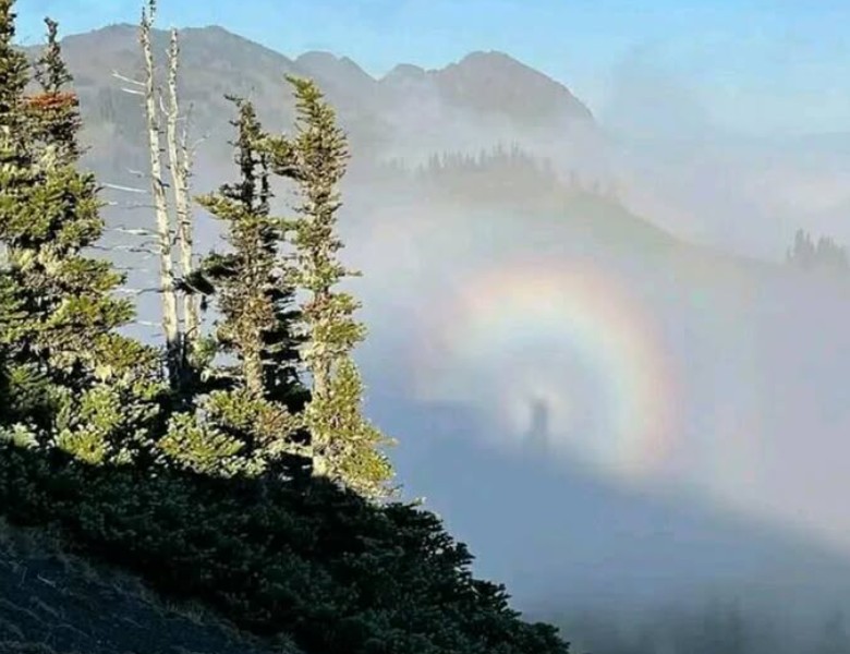 The Brocken Mountain Specter in Olympic National Park - Josie Parker's shadow in the center of the Aura or Glory